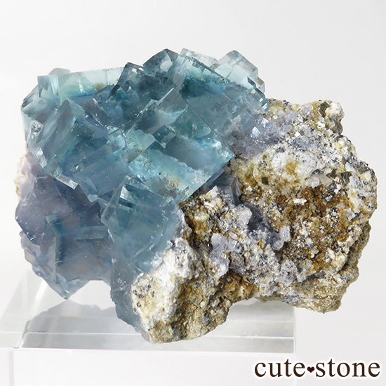 ʻ ֥롼꡼ե饤ȤɸܡʸС26gμ̿0 cute stone