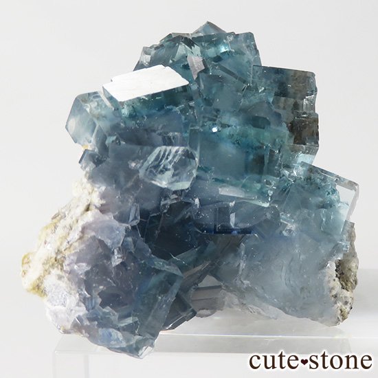  ʻ ֥롼꡼ե饤ȤɸܡʸС26gμ̿1 cute stone