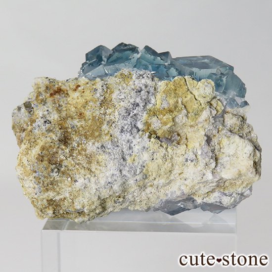  ʻ ֥롼꡼ե饤ȤɸܡʸС26gμ̿2 cute stone