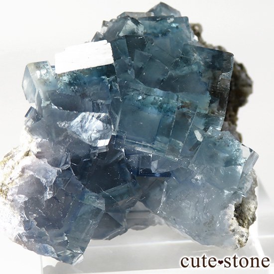  ʻ ֥롼꡼ե饤ȤɸܡʸС26gμ̿4 cute stone