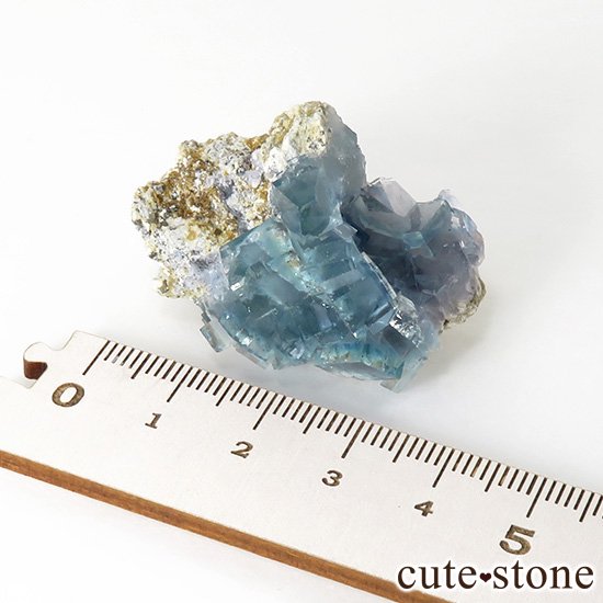  ʻ ֥롼꡼ե饤ȤɸܡʸС26gμ̿5 cute stone