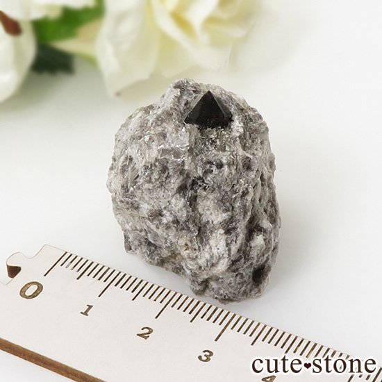 ڥ ⲹꥪ(徽󥴡)դ 27.9gμ̿2 cute stone