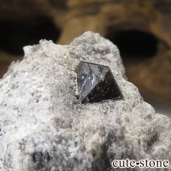 スペイン産 高温型モリオン(黒水晶・カンゴーム)の母岩付き原石