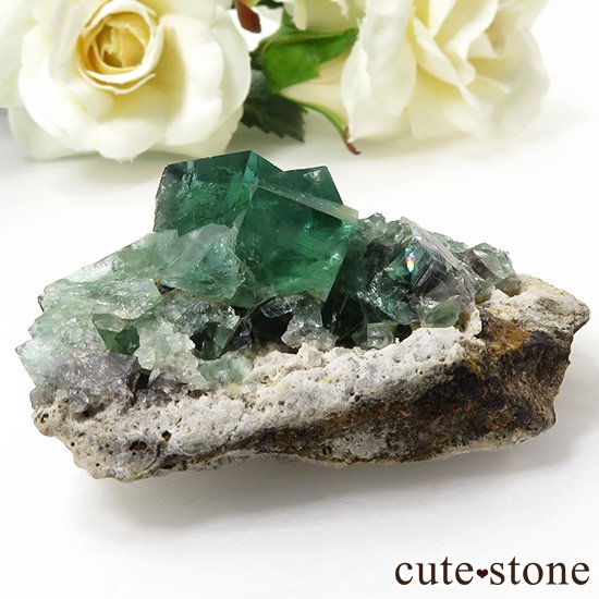 󥰥 Diana Mariaۻ ָե饤Ȥդ뾽ʸС45gμ̿0 cute stone