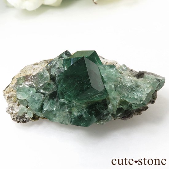 󥰥 Diana Mariaۻ ָե饤Ȥդ뾽ʸС45gμ̿1 cute stone