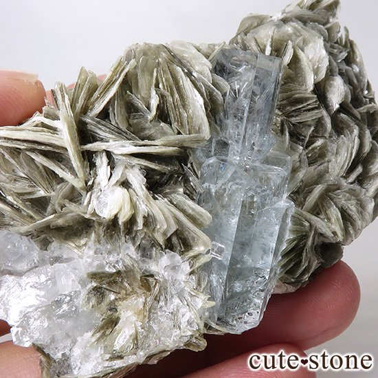 パキスタン産 大きなアクアマリンの母岩付き結晶（原石）168g - cute