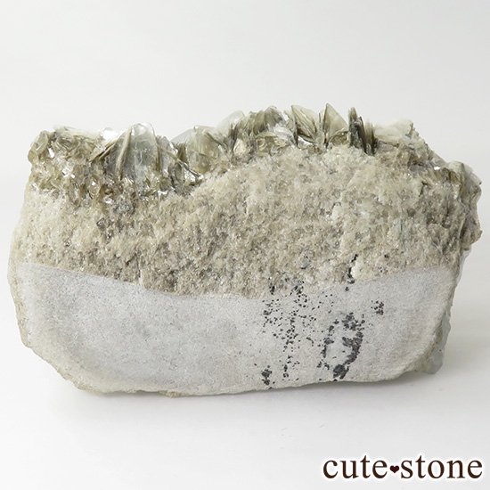 ѥ ޥդ뾽ʸС168gμ̿2 cute stone