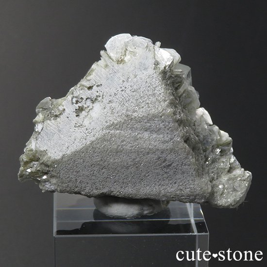 ѥ ޥդ뾽ʸС31.6gμ̿1 cute stone