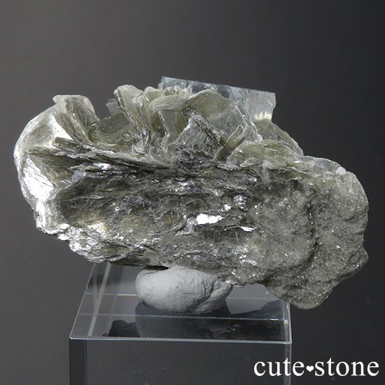 ѥ ޥդ뾽ʸС30.9gμ̿1 cute stone