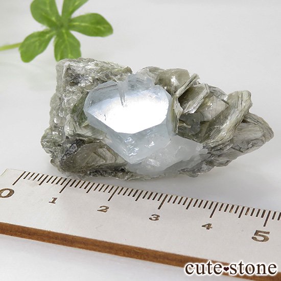 ѥ ޥդ뾽ʸС30.9gμ̿3 cute stone
