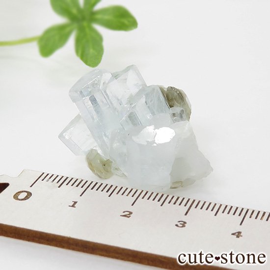 ѥ ޥη뾽ʸС12.3gμ̿3 cute stone