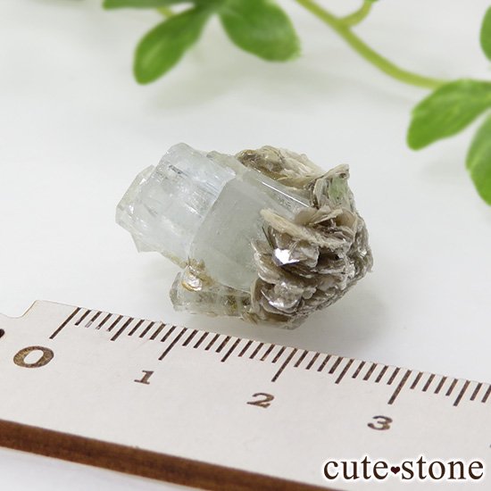 パキスタン産 アクアマリンの母岩付き結晶（原石）7.1g - cute stone -