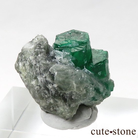 ѥ ȻդɤθСɸܡˤμ̿2 cute stone