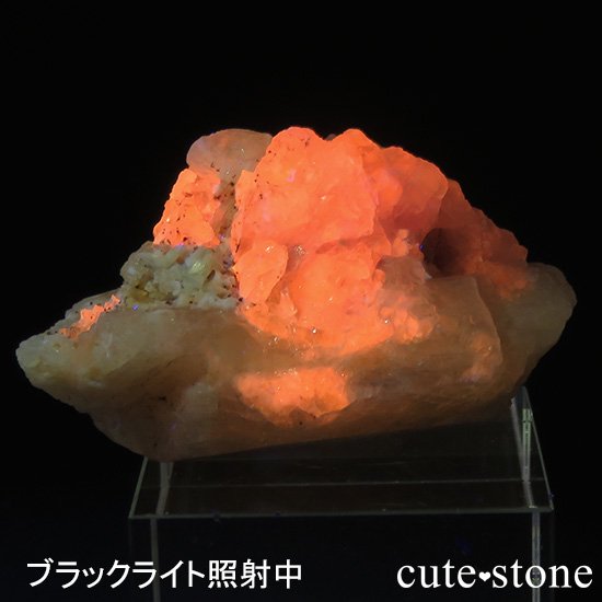 ե˥ ϥåޥʥȤθСɸܡ23gμ̿1 cute stone