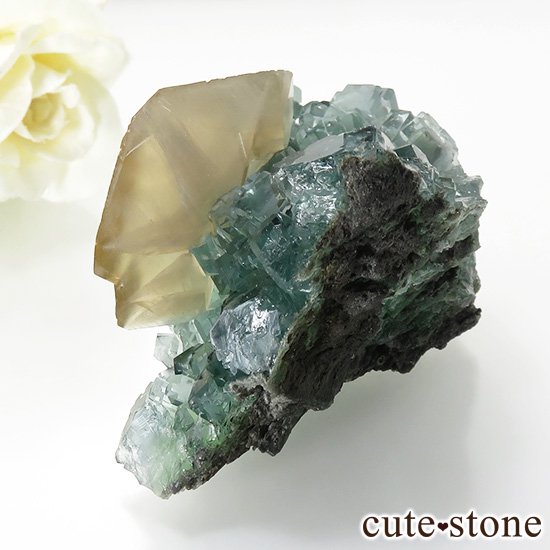  ʻ ꡼ե饤ȡ륵ȤɸܡʸС130gμ̿2 cute stone