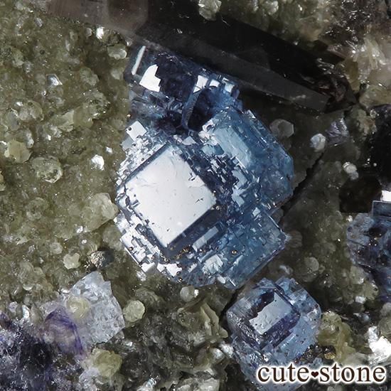  ʻ ֥롼ե饤ȡꥪɸܡʸС336gμ̿3 cute stone