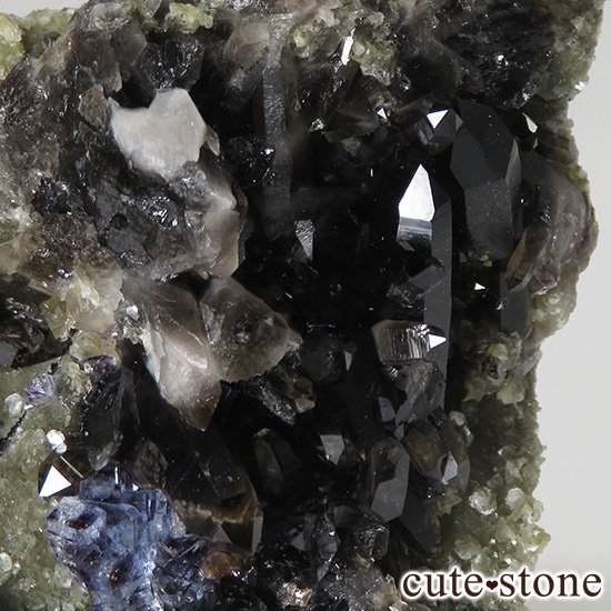  ʻ ֥롼ե饤ȡꥪɸܡʸС336gμ̿5 cute stone