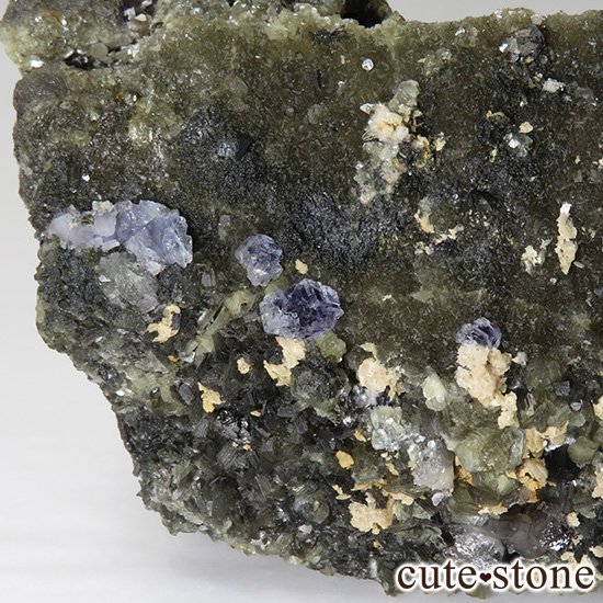  ʻ ֥롼ե饤ȡꥪɸܡʸС336gμ̿6 cute stone