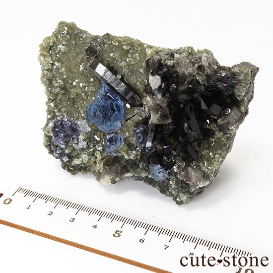  ʻ ֥롼ե饤ȡꥪɸܡʸС336gμ̿7 cute stone