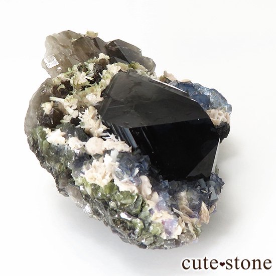  ʻ ֥롼ե饤ȡꥪɸܡʸС153gμ̿0 cute stone
