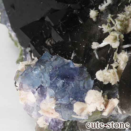  ʻ ֥롼ե饤ȡꥪɸܡʸС153gμ̿2 cute stone