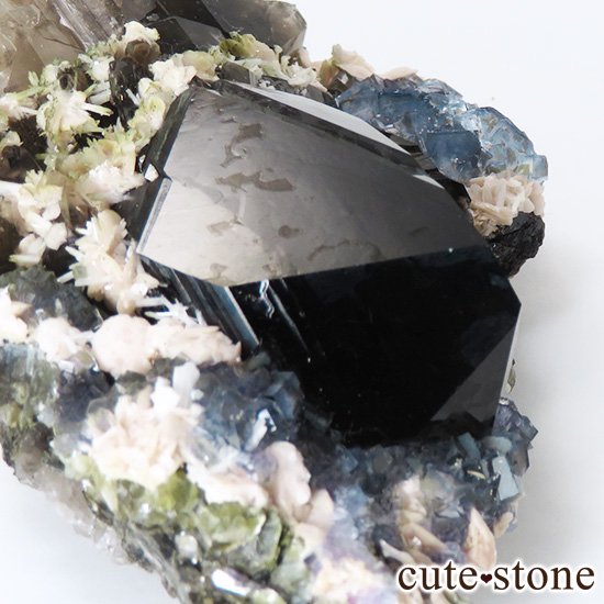  ʻ ֥롼ե饤ȡꥪɸܡʸС153gμ̿5 cute stone
