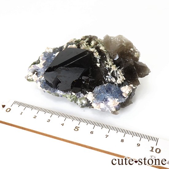  ʻ ֥롼ե饤ȡꥪɸܡʸС153gμ̿6 cute stone