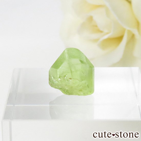 ѥ ڥɥåȤη뾽ʸС5.4ctμ̿0 cute stone