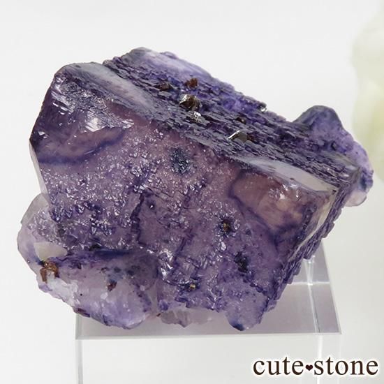 ꥫ ०åɹۻ ե饤Ȥθ 49gμ̿0 cute stone