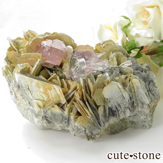 ѥ ʥ뻺 ԥ󥯥ѥȤդ뾽ʸС226gμ̿2 cute stone