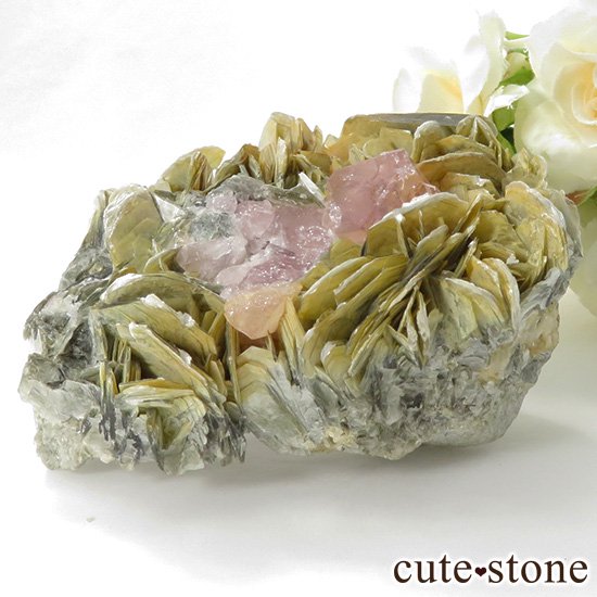 ѥ ʥ뻺 ԥ󥯥ѥȤդ뾽ʸС226gμ̿3 cute stone