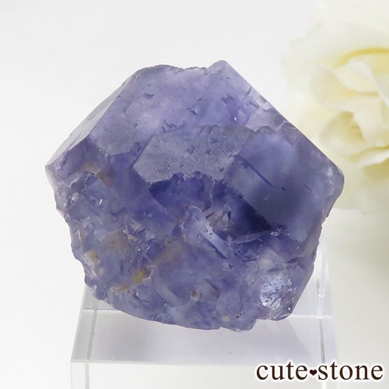 福建省パープルブルーフローライトの標本 39g - cute stone -