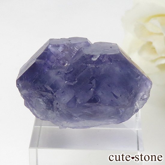  ʡʻѡץ֥롼ե饤Ȥη뾽ʸС 39gμ̿0 cute stone