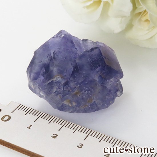  ʡʻѡץ֥롼ե饤Ȥη뾽ʸС 39gμ̿2 cute stone