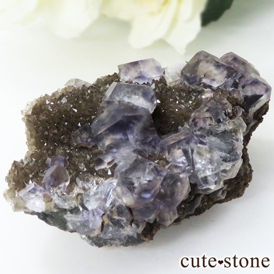 䥪󥷥 顼쥹ߥ֥롼꡼ե饤Ȥη뾽ʸС46gμ̿0 cute stone