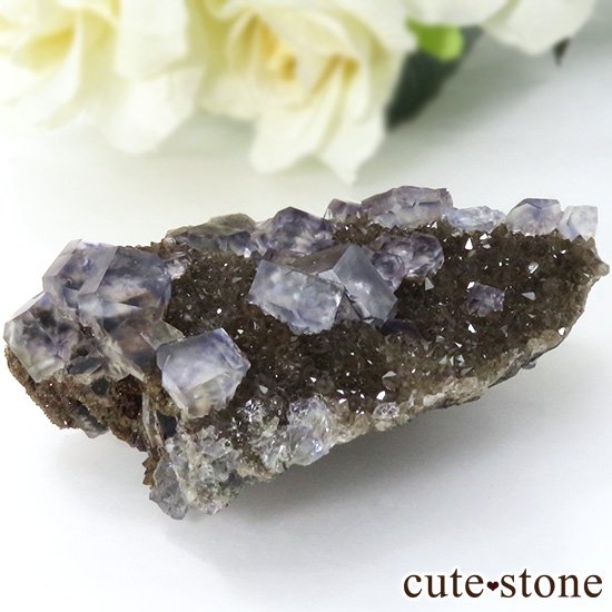 䥪󥷥 顼쥹ߥ֥롼꡼ե饤Ȥη뾽ʸС46gμ̿1 cute stone