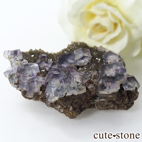 䥪󥷥 顼쥹ߥ֥롼꡼ե饤Ȥη뾽ʸС46gμ̿2 cute stone