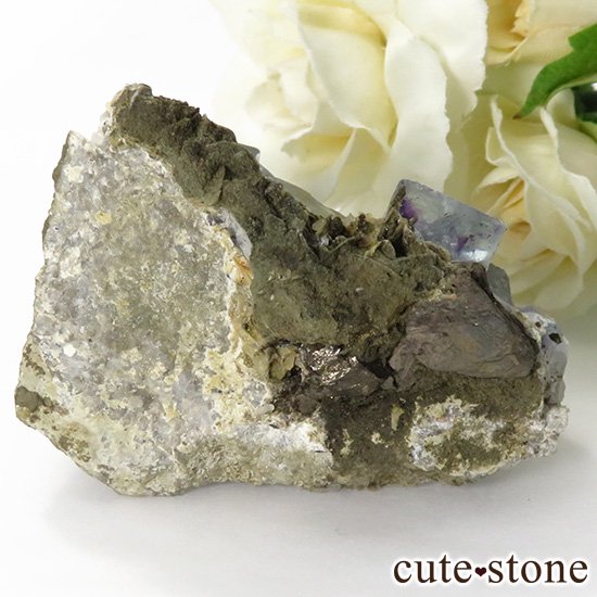  󥴥뻺 ֥롼ե饤Ȥդ뾽ʸС 75gμ̿0 cute stone