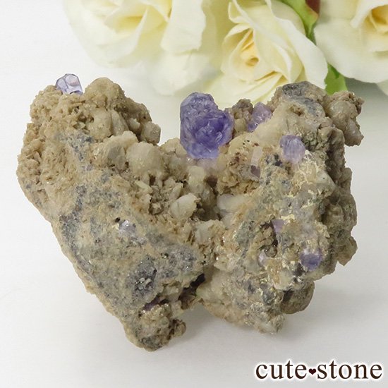  ʡʻѡץե饤Ȥդ뾽ʸС42gμ̿0 cute stone