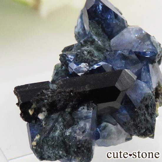 ե˥ ٥˥ȥȡͥץʥȤդ뾽ʸС 3.8gμ̿3 cute stone