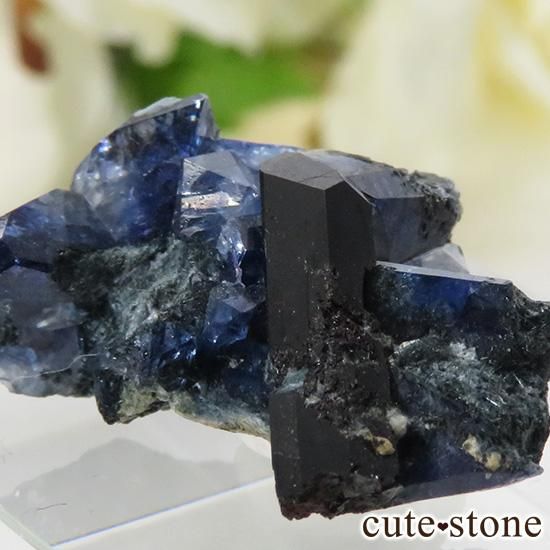カリフォルニア産 ベニトアイト＆ネプチュナイトの母岩付き結晶