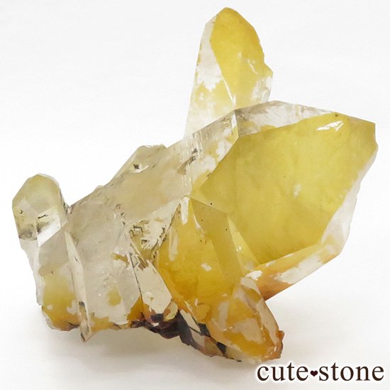󥽡 ꥹĤΥ饹 62gμ̿0 cute stone