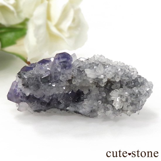  ʡʻѡץ֥롼ե饤Ȥη뾽ʸС 37gμ̿0 cute stone