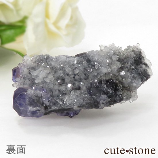  ʡʻѡץ֥롼ե饤Ȥη뾽ʸС 37gμ̿1 cute stone