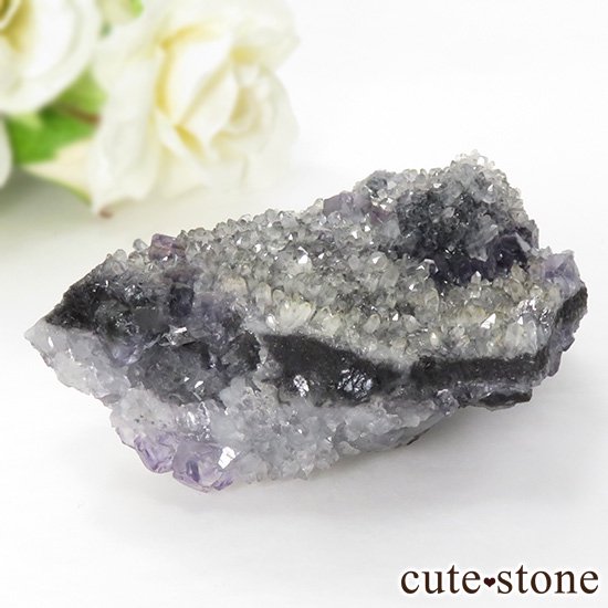  ʡʻѡץ֥롼ե饤Ȥη뾽ʸС 102gμ̿0 cute stone