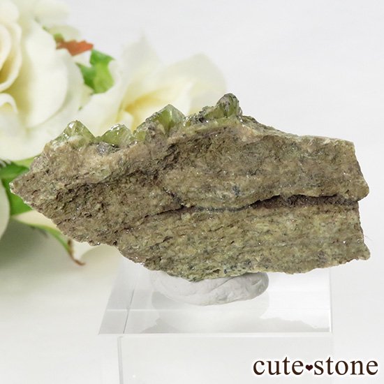 ѥ ɥ եդ 12gμ̿1 cute stone