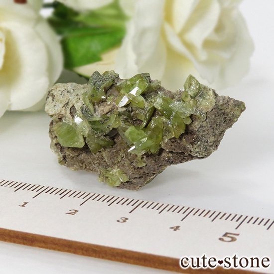 ѥ ɥ եդ 12gμ̿2 cute stone