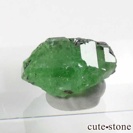 󥶥˥ ĥܥ饤Ȥη뾽ʸС 7.1ctμ̿0 cute stone