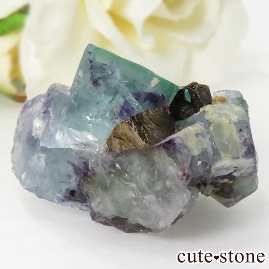  󥴥뻺 ֥롼꡼ե饤Ȥθ 25gμ̿0 cute stone