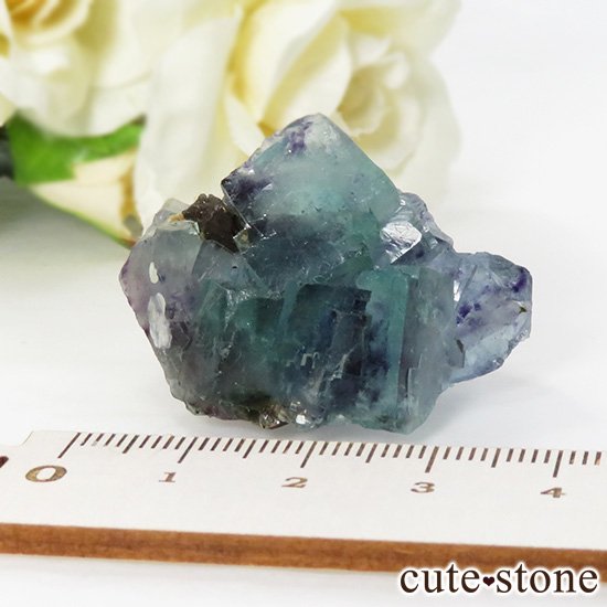  󥴥뻺 ֥롼꡼ե饤Ȥθ 25gμ̿3 cute stone